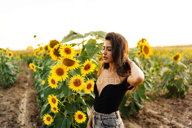 Vue latérale de charmante jeune femme hispanique aux cheveux longs en haut noir avec épaule nue debout près de tournesol jaune fleurissant et regardant vers le bas dans la journée d'été à la campagne — Photo de stock