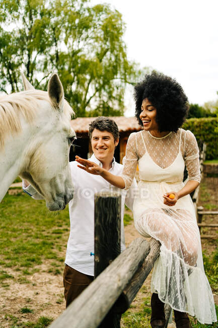 Hombre abrazando a la mujer negra sentada en una cerca de madera y extendiendo la mano hacia el caballo gris pastando en el paddock en el campo en verano - foto de stock