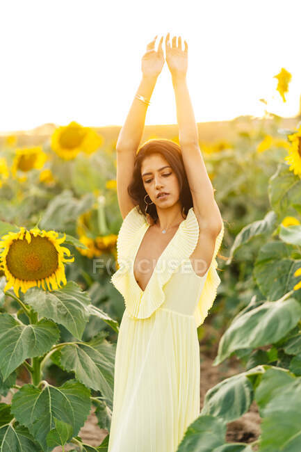 Изящная молодая латиноамериканка в стильном желтом платье, стоящая с поднятыми руками посреди цветущих подсолнухов в сельской местности в солнечный летний день, смотрящая вниз — стоковое фото