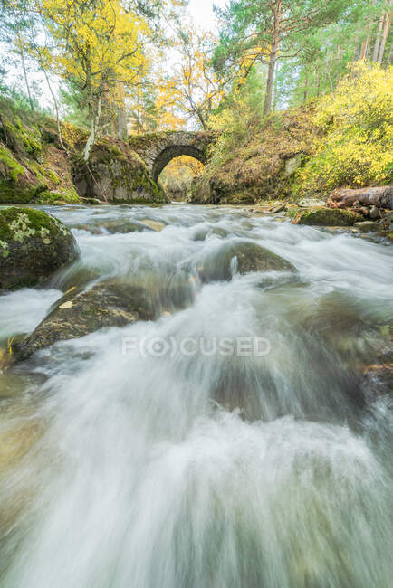 Picturesque view of cascade with foamy water fluid between boulders with moss and golden trees in fall with a stone bridge in the background — Stock Photo