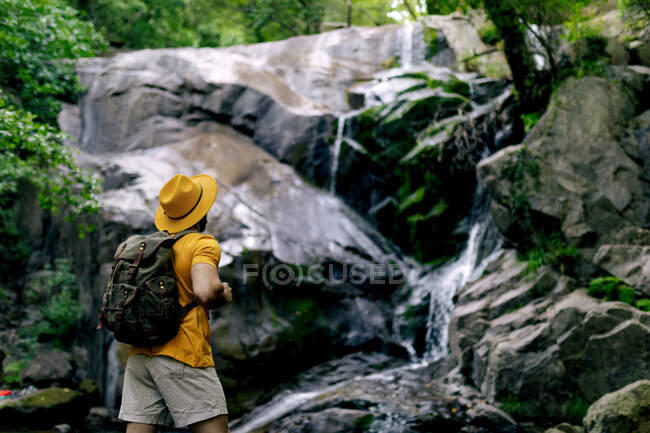 Вид збоку на невпізнаваного чоловіка, що стоїть на валуні і захоплюючого водоспаду в лісі — стокове фото