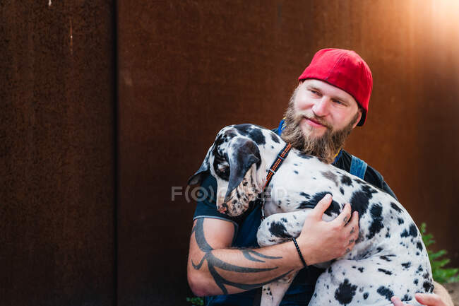 Hombre barbudo feliz con tatuajes con denim en general y gorra y sentado en adoquines pavimento abrazo lindo manchado cachorro Gran Danés - foto de stock