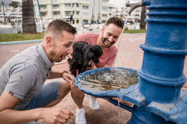 Homens homossexuais felizes com cão se divertindo enquanto se agacha no pavimento contra a fonte com fluxo de água potável e ondulações — Fotografia de Stock