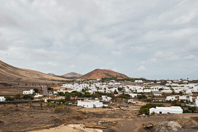 Casas blancas y árboles verdes ubicados en la calle de la ciudad cerca de colinas secas contra el cielo gris nublado en Fuerteventura, España - foto de stock