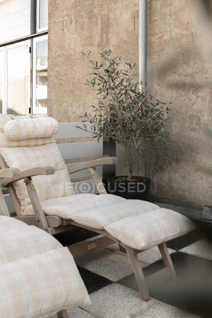 Design intérieur minimaliste de salon avec chaises en bois avec matelas confortables placés près de plantes en pot contre un mur de pierre grise — Photo de stock