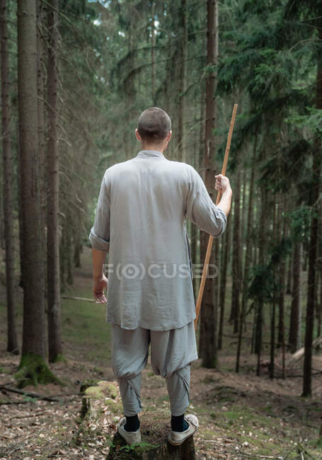 Rückansicht eines nicht wiedererkennbaren Mannes mit Stock, der auf einem Felsen in der Nähe von Bäumen steht, während er Kung Fu im Nadelwald übt — Stockfoto