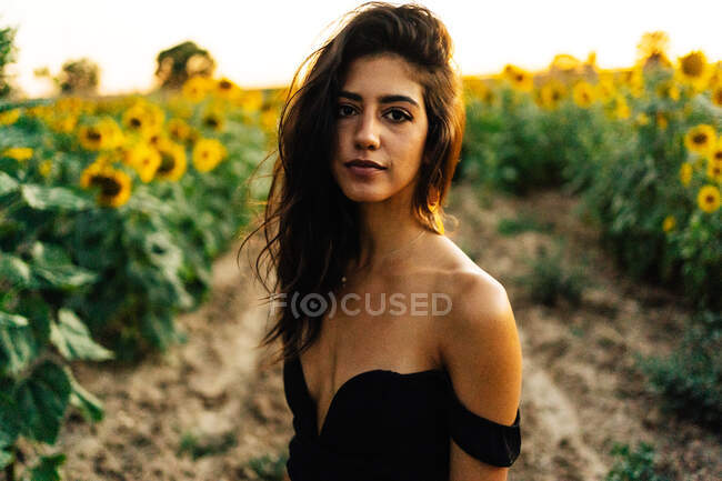 Charmante junge langhaarige hispanische Frau in schwarzem Top mit nackter Schulter, die in der Nähe blühender gelber Sonnenblumen steht und im Sommer auf dem Land in die Kamera schaut — Stockfoto