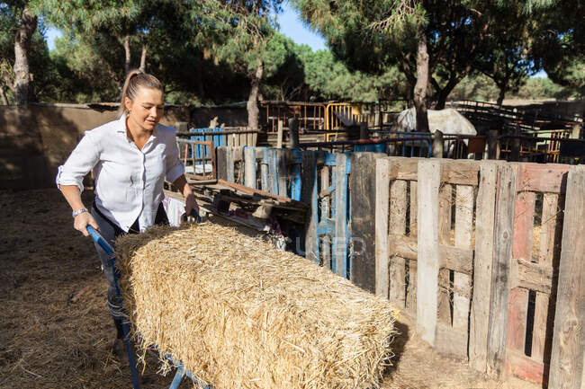 Contenu agricultrice marche avec la pile de foin sur brouette tout en travaillant sur ranch par une journée ensoleillée en été — Photo de stock