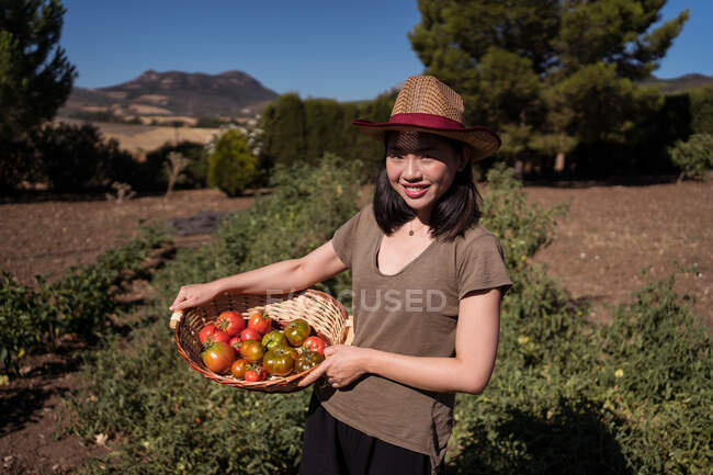 Delighted ethnic female farmer standing with basket full of fresh tomatoes in agricultural field in countryside and looking at camera — Stock Photo