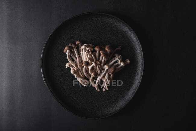 Draufsicht auf frische Shimeji-Pilze, serviert auf schwarzem Teller auf dunklem Tisch im Studio — Stockfoto