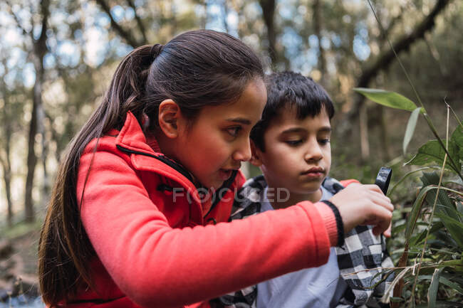 Bambino etnico con lente d'ingrandimento che dimostra la pianta di felce al fratello mentre esplora la foresta durante il giorno — Foto stock