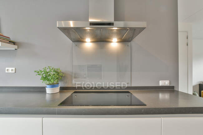 Zeitgenössisches minimalistisches Interieur der offenen Küche mit weißen Möbeln und Dunstabzugshaube über dem Herd, dekoriert mit Topfpflanzen im modernen Haus — Stockfoto