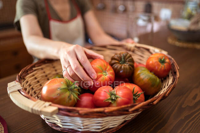 Pile de tomates fraîches dans un panier en osier placé sur la table dans la cuisine rustique pendant la saison des récoltes — Photo de stock