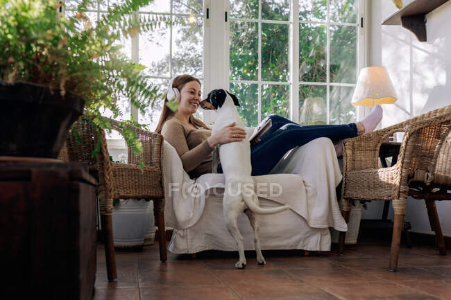 Vue latérale de joyeuse femme dans les écouteurs s'amuser avec chien de race dans le fauteuil contre fenêtre dans la maison — Photo de stock
