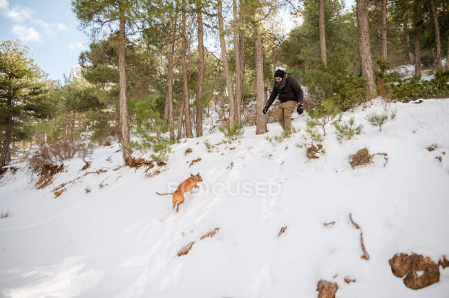 Herrchen in warmer Kleidung spielt im Winter mit süßem Hund im verschneiten Park — Stockfoto