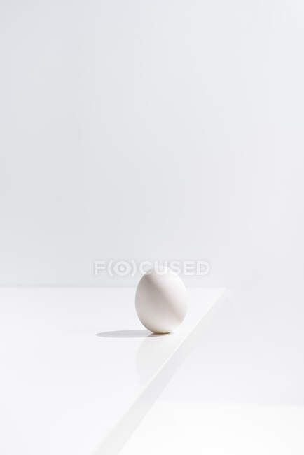 Свежее яйцо помещено на стол на белом фоне в студии в минимальном стиле — стоковое фото