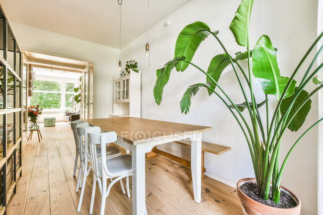 Tisch mit Stühlen auf dem Holzboden im sonnigen Esszimmer zu Hause — Stockfoto
