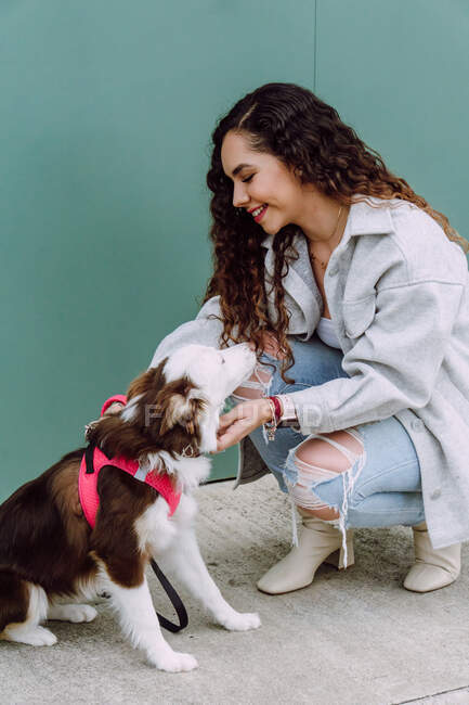 Slide view of female looking away owner caressing Border Collie dog on leash while both are sitting — Stock Photo