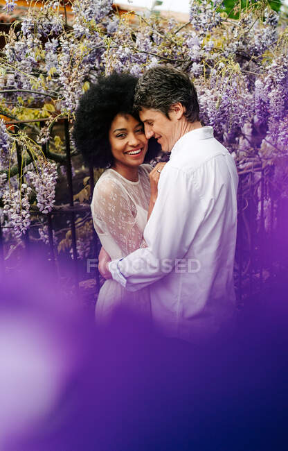 Вид збоку люблячої багаторасової пари, що обіймається в парку з квітучими фіолетовими квітами вістерії влітку — стокове фото