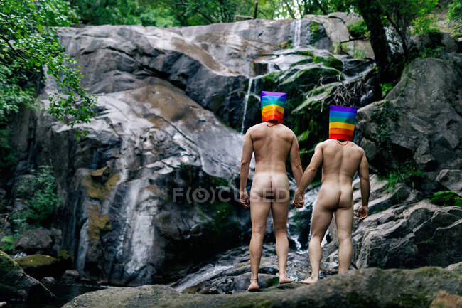 Vista posterior de hombres homosexuales desnudos anónimos con bolsas de arco iris en la cabeza tomados de la mano mientras están de pie cerca de la cascada en el bosque - foto de stock