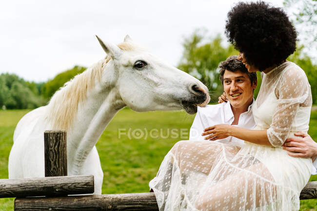 Uomo abbracciando donna nera seduta su una recinzione di legno e allungando la mano verso cavallo grigio al pascolo in paddock in campagna in estate — Foto stock
