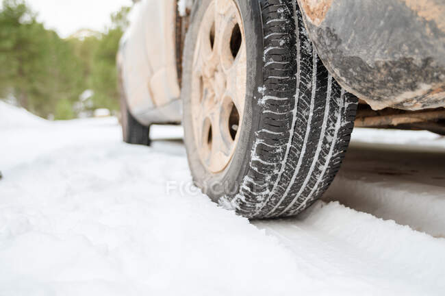 Ground level of tire of wheel of automobile parked on snowy roadway in winter forest — Stock Photo