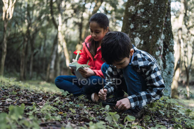Веселая этническая девушка с ручкой и блокнотом против брата, изучающего лист папоротника с увеличителем, сидя на земле в лесу — стоковое фото