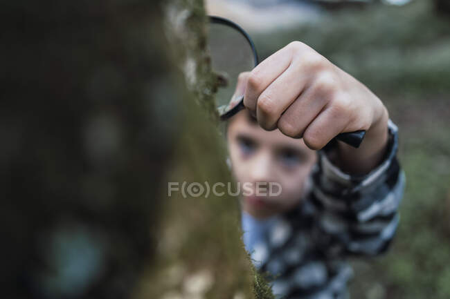 From above attentive ethnic kid with magnifying glass studying tree trunk with moss in forest on blurred background — Stock Photo