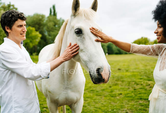 Allegro coppia multirazziale accarezzando cavallo grigio pascolo sul prato in campagna in estate — Foto stock