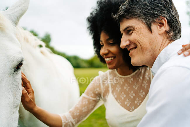 Весела мультирасова пара погладжує сірого коня, обгортаючи на лузі в сільській місцевості влітку — стокове фото