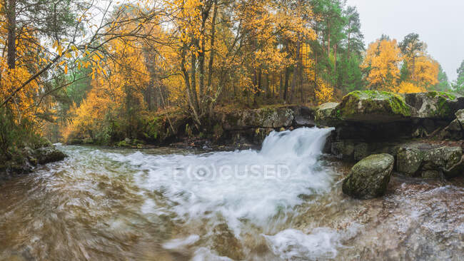 Vista panorámica del monte con río con fluidos de agua espumosa sobre piedras entre árboles otoñales en Lozoya, Madrid, España. - foto de stock