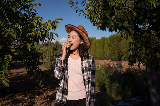 Encantada agricultora étnica em chapéu de palha e camisa quadriculada comendo maçã saborosa fresca enquanto estava no pomar no campo no dia ensolarado — Fotografia de Stock
