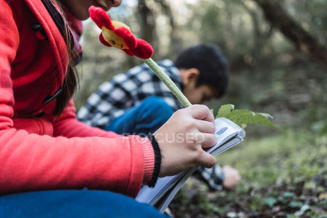 Обрезанная неузнаваемая девушка с ручкой и блокнотом против брата, изучающего лист папоротника с увеличителем, сидя на земле в лесу — стоковое фото