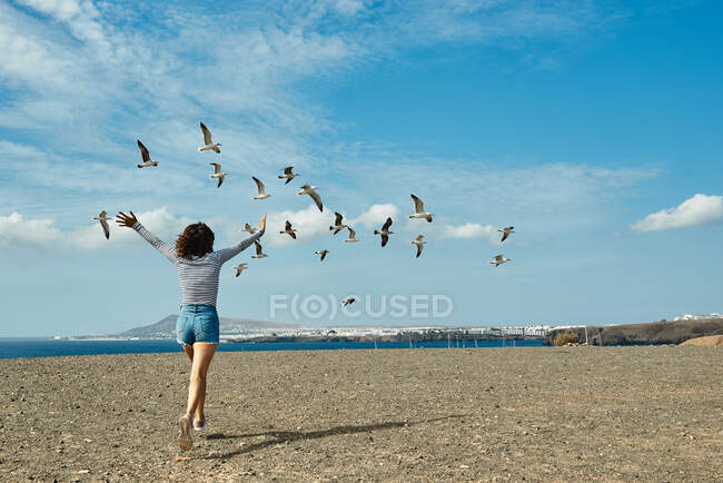 Vista posterior de una mujer anónima con los brazos extendidos corriendo por la costa hacia la bandada de gaviotas contra el cielo azul nublado en Fuerteventura, España - foto de stock