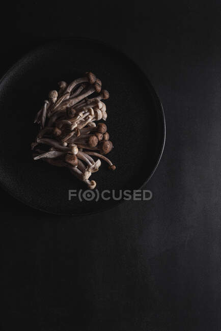 Вид сверху на свежие грибы шимедзи, подаваемые на черной тарелке на темном столе в студии — стоковое фото