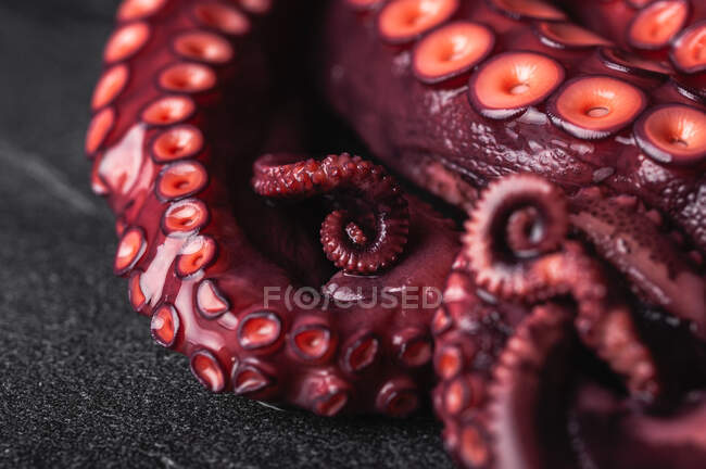 Gros plan à angle élevé de tentacules de poulpe frais avec des meuniers rouges placés sur une table sombre — Photo de stock