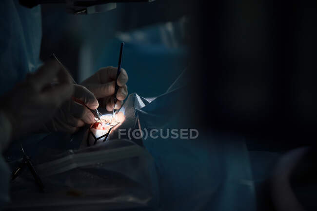 Cirurgião ocular anônimo de cultura com instrumentos manuais operando paciente na cama médica no hospital em fundo turvo — Fotografia de Stock