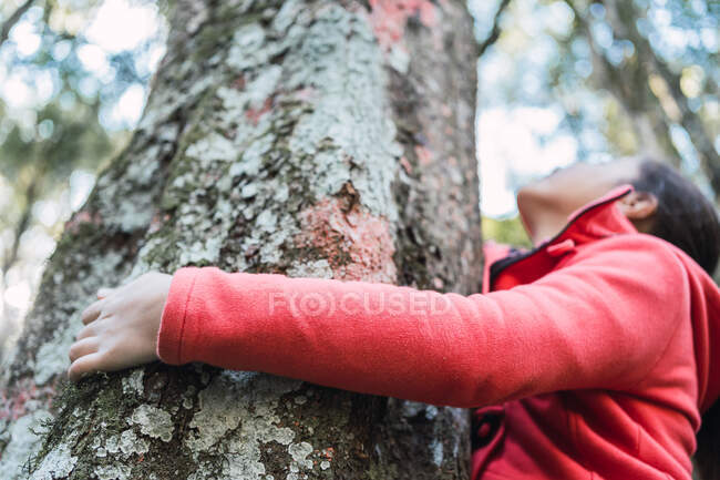 From below of charming ethnic child touching rough bark of aged tree trunk with lichen while in forest — Stock Photo
