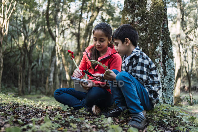 Ethnic girl with pen and notepad against brother examining fern leaf with magnifier while sitting on land in woods — Stock Photo