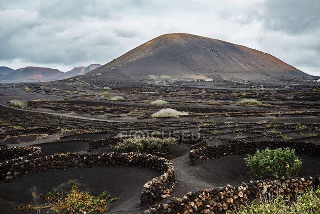 Arbustos y rocas ubicados en suelo seco cerca de carretera y colinas en valle sin agua en día nublado en Fuerteventura, España - foto de stock