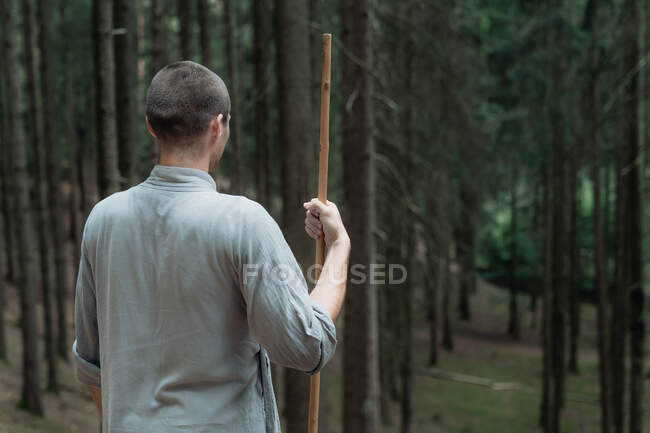 Back view of unrecognizable man with stick standing on rock near trees while practicing kung fu in coniferous forest — Stock Photo
