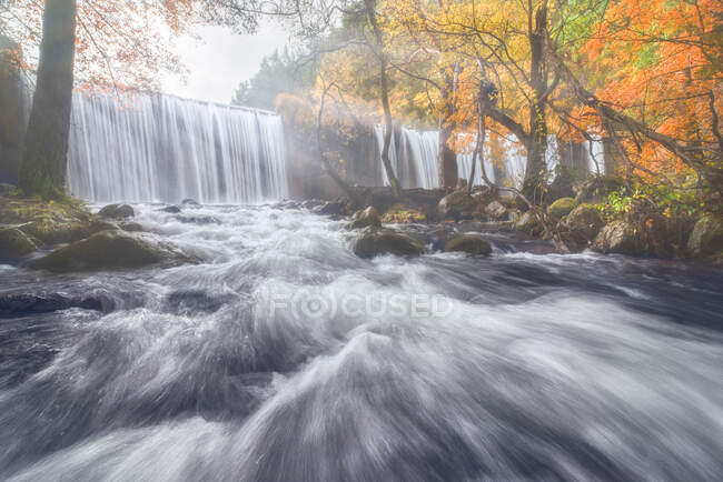 Vista panorámica del monte con cascadas y río con fluidos de agua espumosa sobre piedras entre árboles otoñales en Lozoya, Madrid, España. - foto de stock