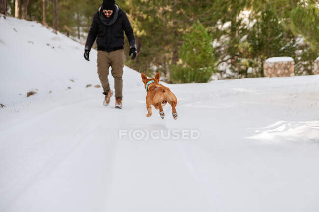 Unbekannter Mann läuft mit verspieltem Hund durch verschneiten Winterwald — Stockfoto