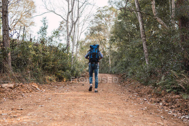 Viajero anónimo caminando por las selvas - foto de stock