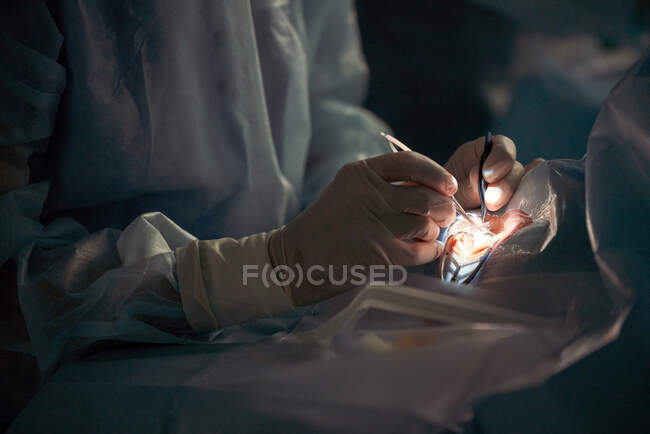 Cultiver médecin méconnaissable en uniforme avec seringue injectant des médicaments dans le corps du patient pendant la chirurgie à l'hôpital — Photo de stock