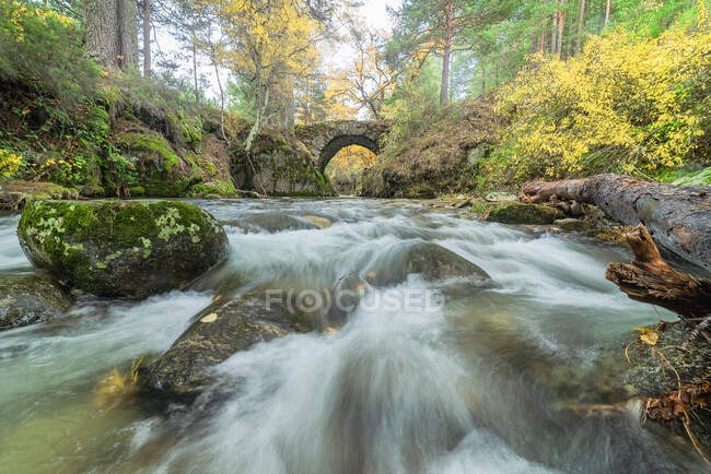 Pintoresca vista de cascada con líquido espumoso de agua entre rocas con musgo y árboles dorados en otoño con un puente de piedra en el fondo - foto de stock