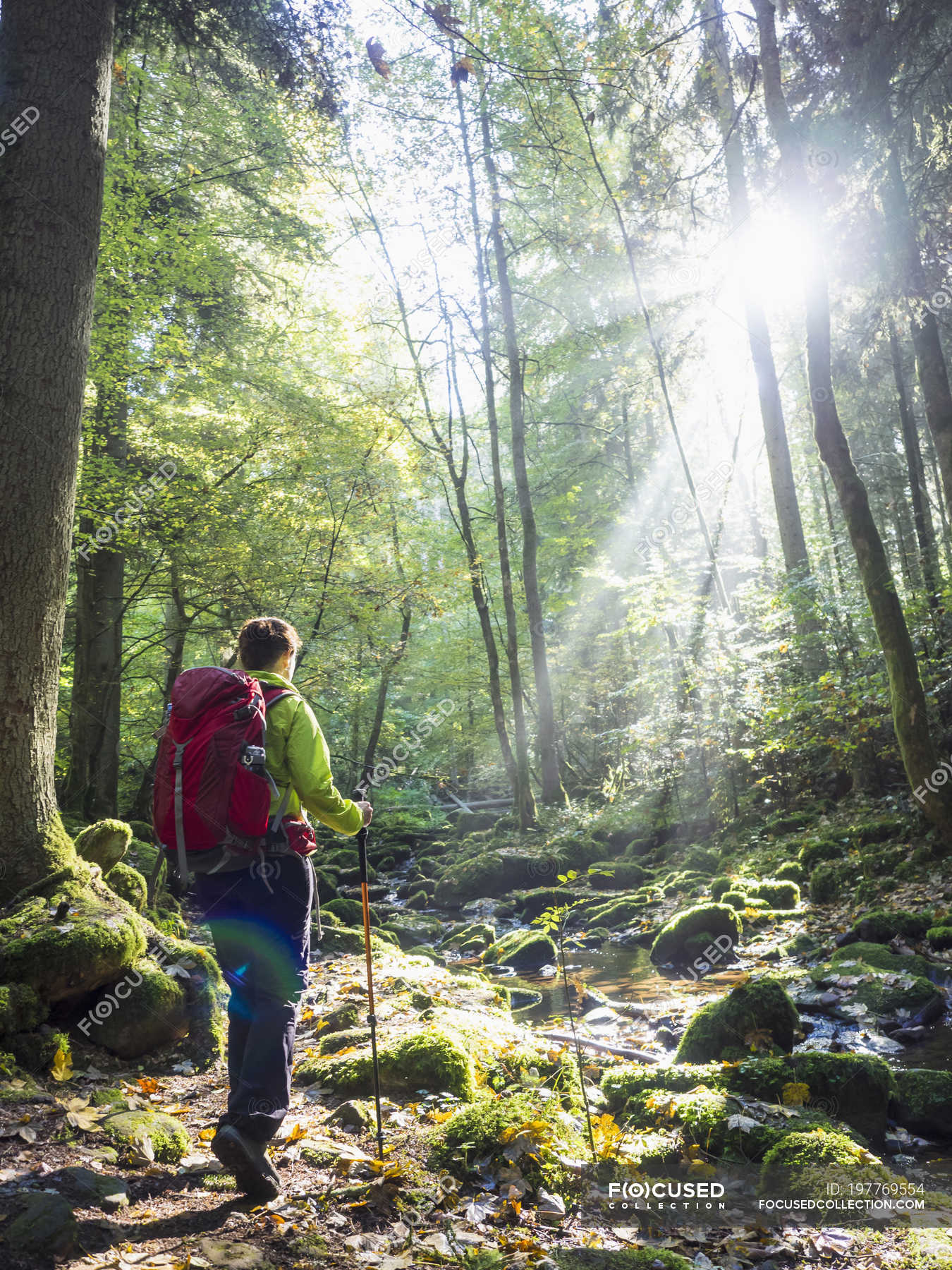 hiking black forest