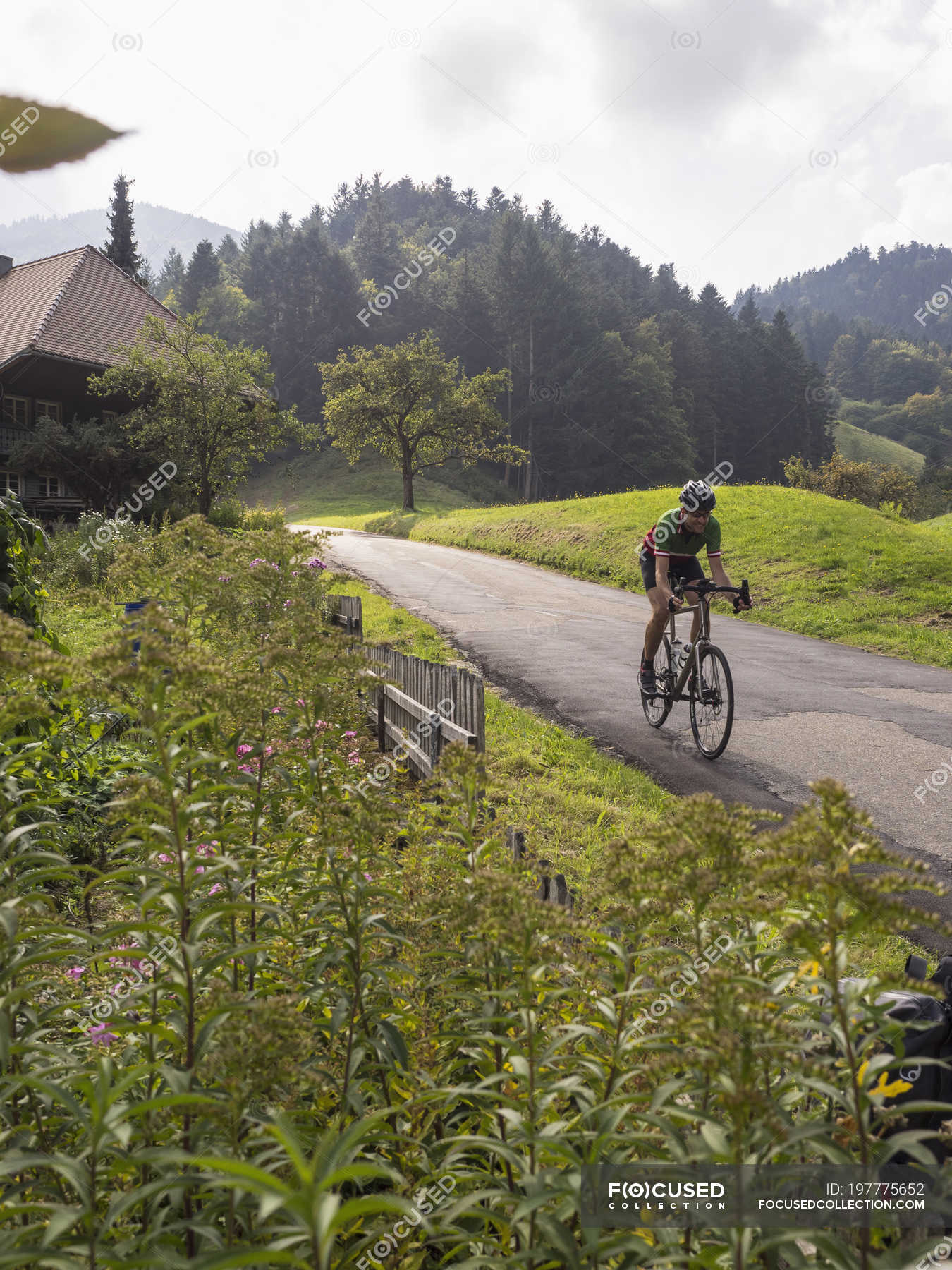 bicycle village