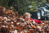 Little boy playing in autumn leaves — Stock Photo