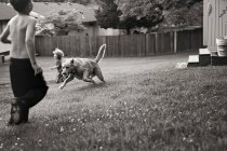 Petits garçons jouant avec le chien — Photo de stock